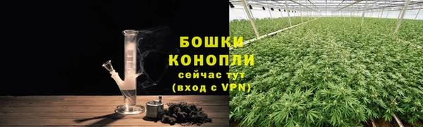 гидропоника Бугульма