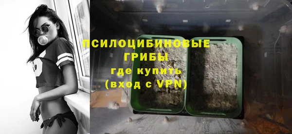 гидропоника Бугульма