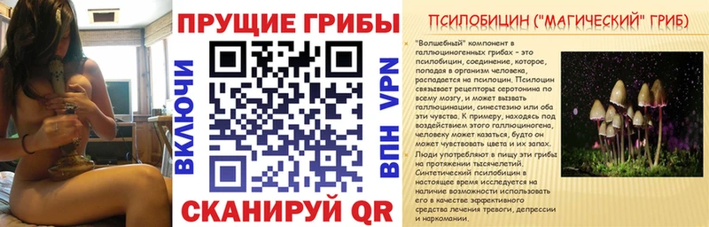 Галлюциногенные грибы MAGIC MUSHROOMS  Лысьва 
